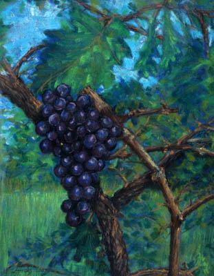 images/Grapes-big.jpg