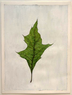 images/green-leaf-big.jpg