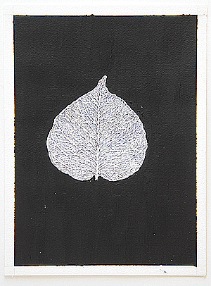 images/leaf-skeleton-big.jpg