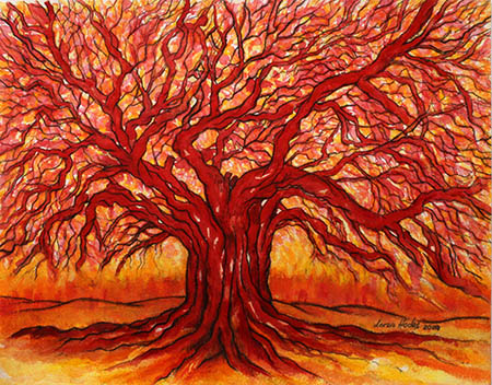 images/red-boabab-big.jpg