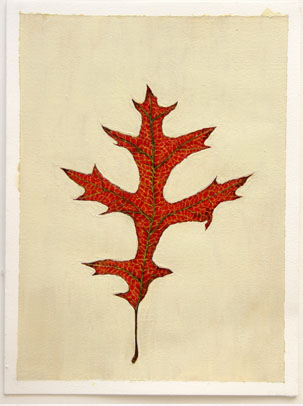 images/red-leaf-big.jpg