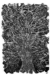 images/wild-tree-part-3-big.jpg