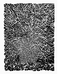 images/wild-tree-part-4-big.jpg