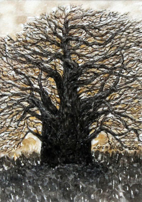 images/winter-tree-7-big.jpg
