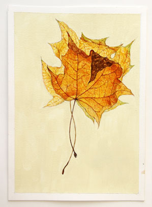 images/yellow-leaf-big.jpg