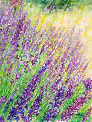 images/lavender-big.jpg