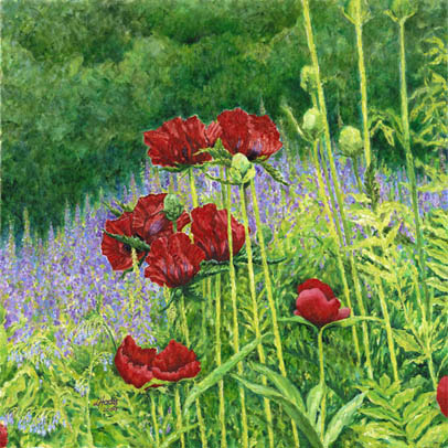 images/poppies-big.jpg